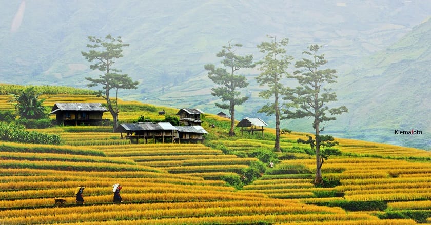 Half-Day Sapa Trekking Tour to Lao Chai & Ta Van
